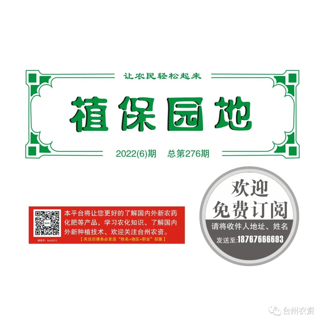 雜交水稻制種增施必奧硅、持力硼成熟期表現(xiàn)情況